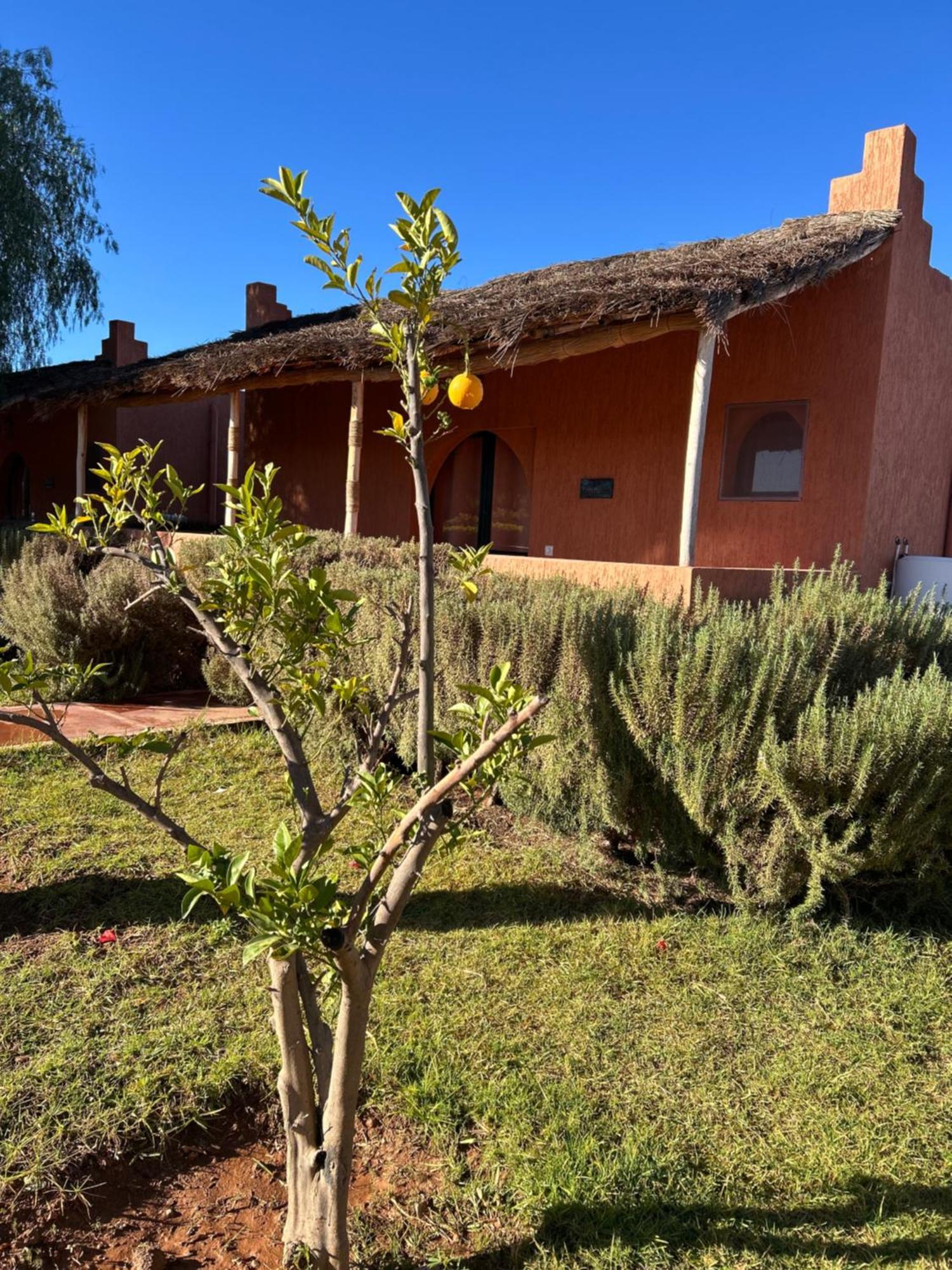 Les Orangers De L'Ourika Hotel Douar Akkara Luaran gambar