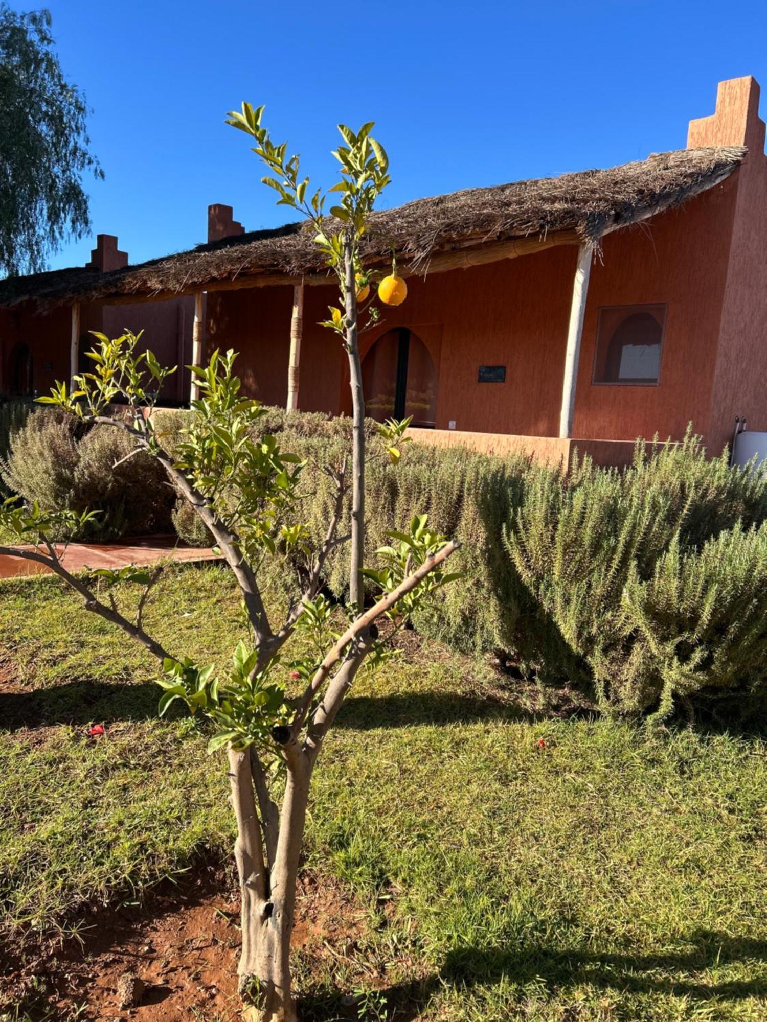 Les Orangers De L'Ourika Hotel Douar Akkara Luaran gambar